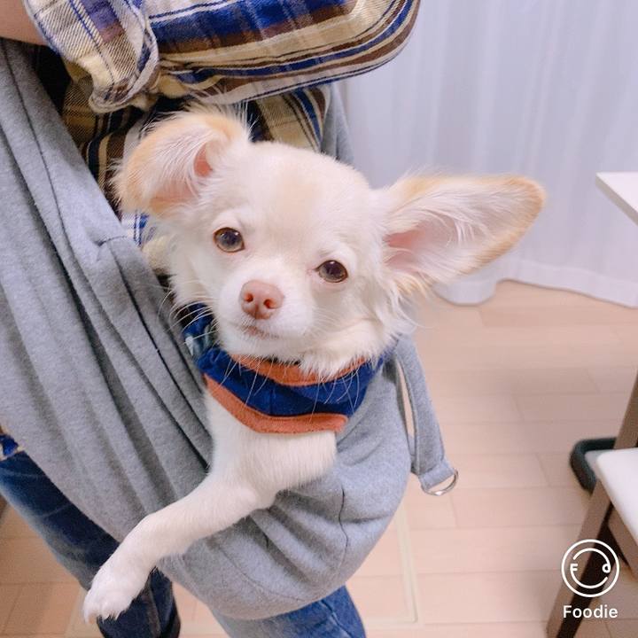 F0b14993 2b06 4a07 8bc0 b8a46dd2c957 1600157277219