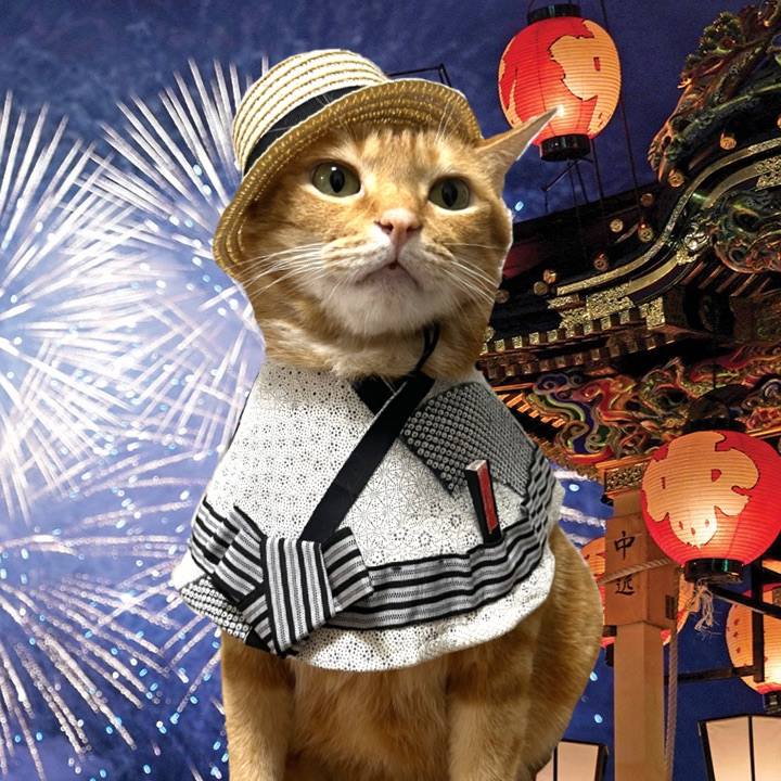 F0b17160 2145 4933 88fe 58cde6d58bf8 1661599015449