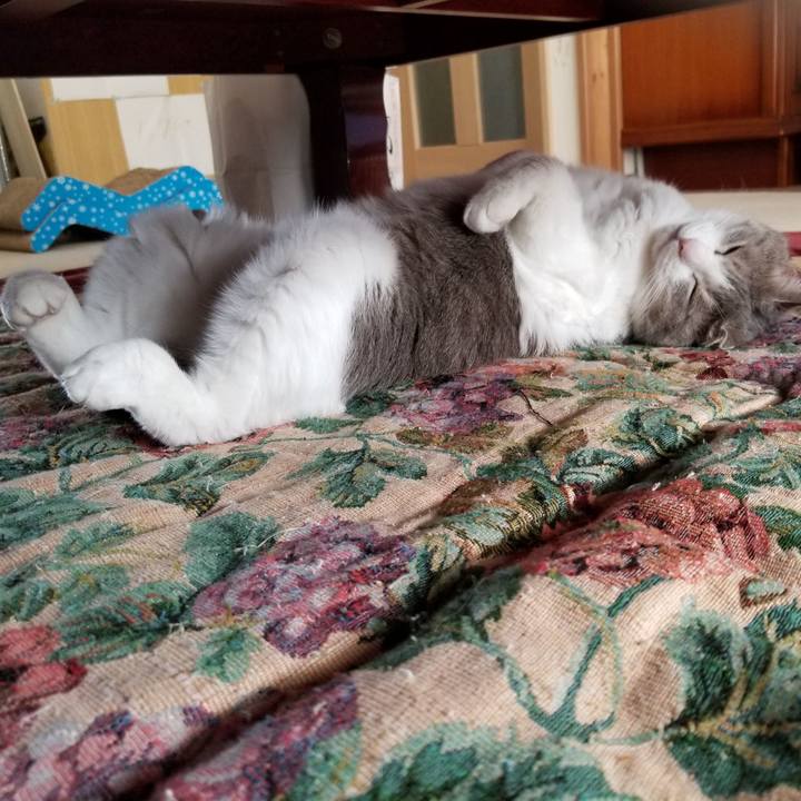 F0b1790b 3143 4530 bb5f 3a52ec50ffdf 1638446104852