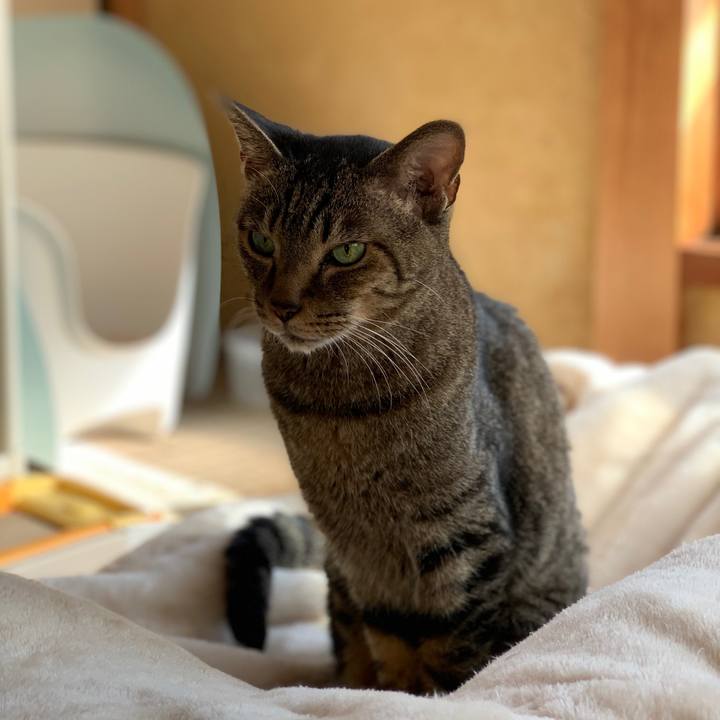 F0b19301 8be2 4f47 b072 7ccbf0c91bd3 1572571332701