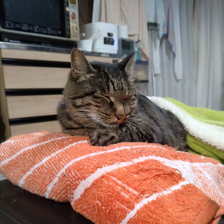 F0b19613 b32a 4592 bbc2 a8836db0aad2 1700088520528