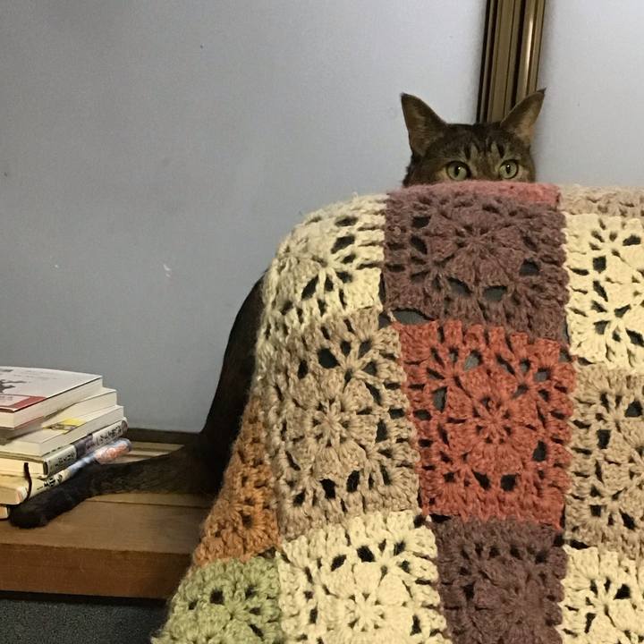 F0b1be45 e5d7 4664 8b3b 91c0f01c6aa5 1730376988689