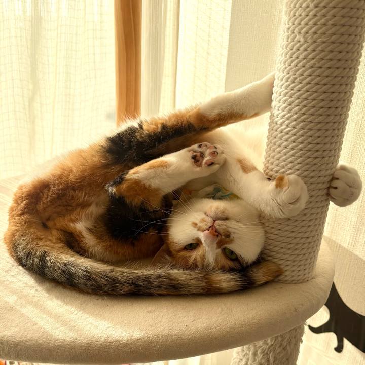 F0b1c866 9184 40de bc8d 34bd974896dc 1770973252722