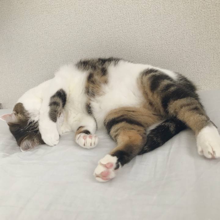 F0b20b35 678e 49c7 8404 ebe0b18e26cc 1538026852585