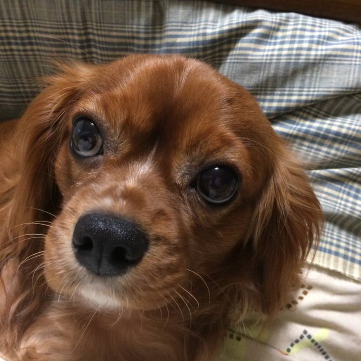 F0b226d9 9ed0 4101 a65a 3fc21fcff864 1515399007366