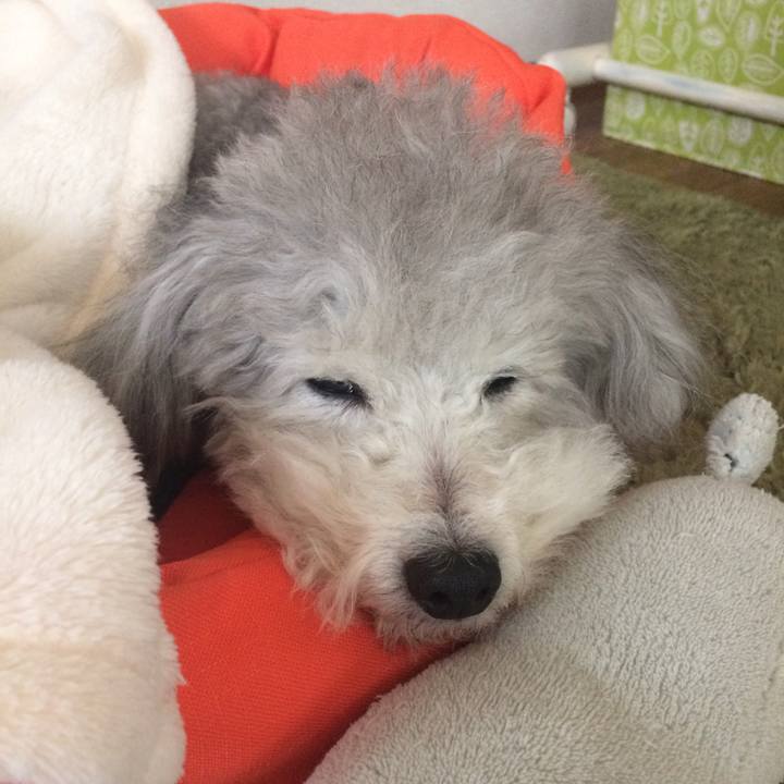 F0b22c1f a8a1 475a b01c 2fd9fb621d64 1511923578840