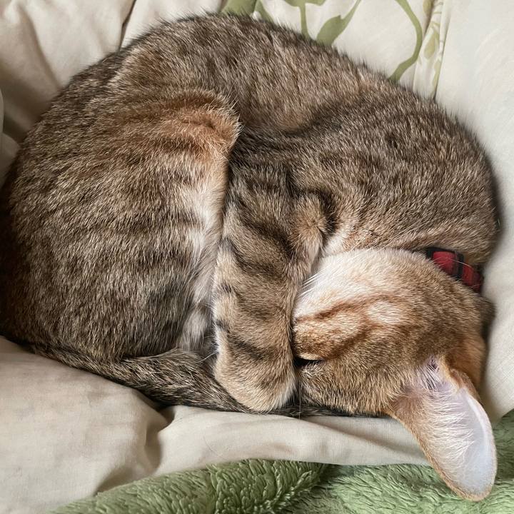 F0b290b9 c498 4262 86e5 6f4315416404 1683446350010