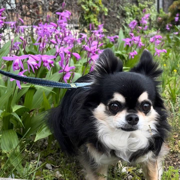 F0b2b9f8 6e2f 490d a37b 632863ee5620 1714360443036