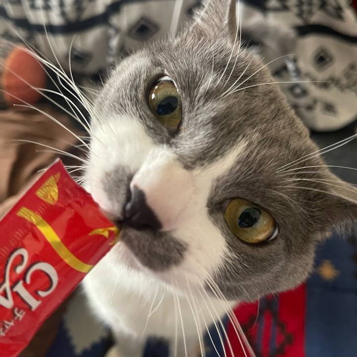 F0b2c058 93ad 4150 892e 17ae2697e1ae 1673937711684