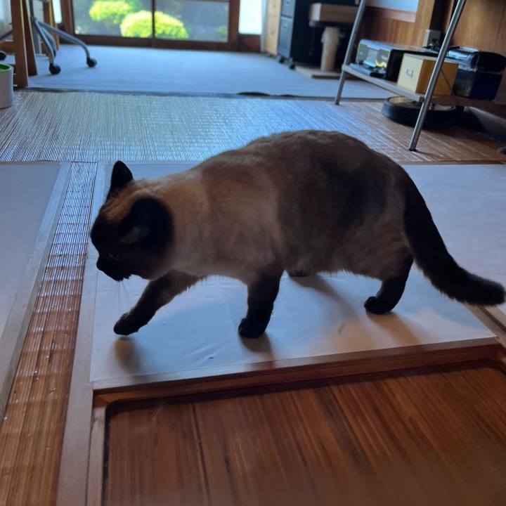 F0b2d017 efad 4dcb bcc2 9e6f6e87590d 1651886980922