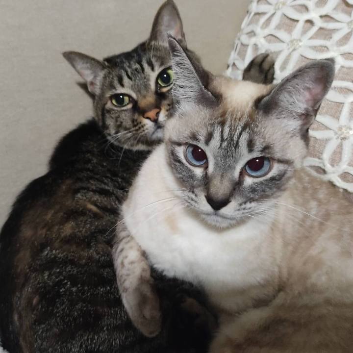 F0b357d1 e9e4 45e8 83ca fe2190175fdf 1609843505606