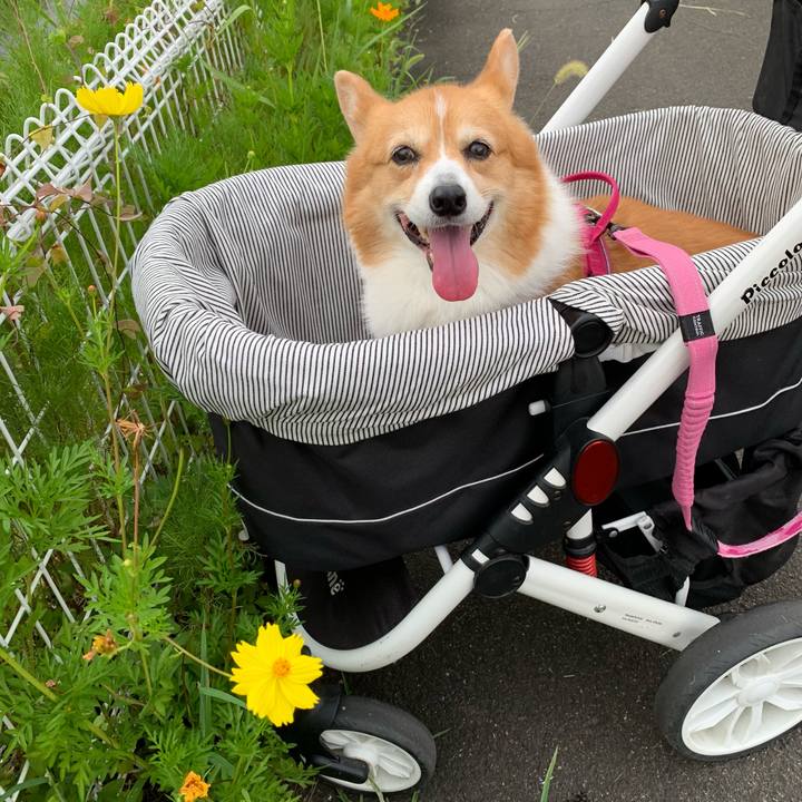 F0b374e8 db50 45d0 8105 526d143dac11 1723512824406