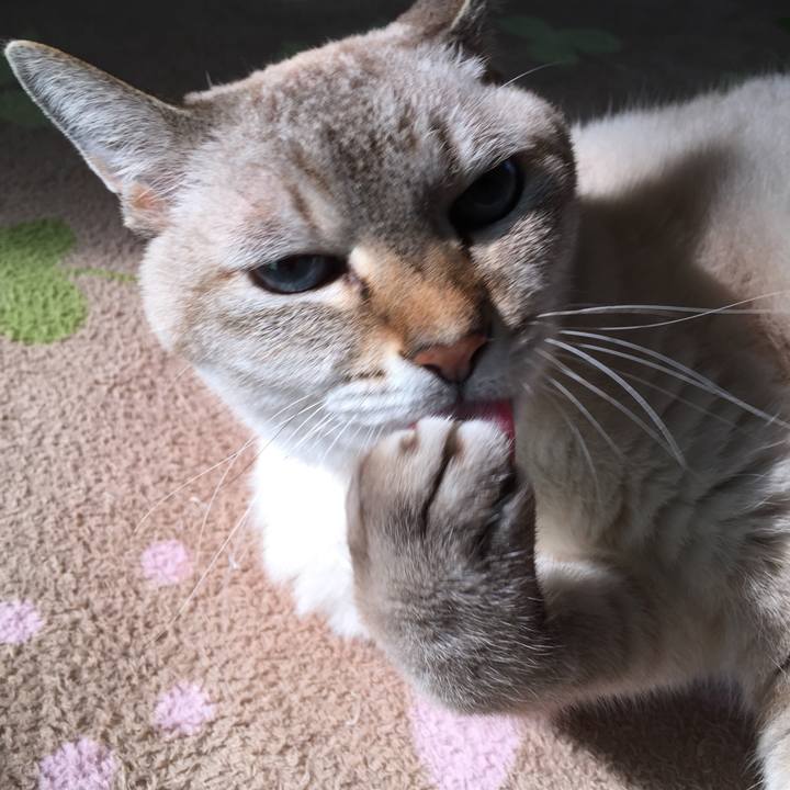 F0b39031 2769 4d61 b1c3 0028d5006a0d 1540786331443