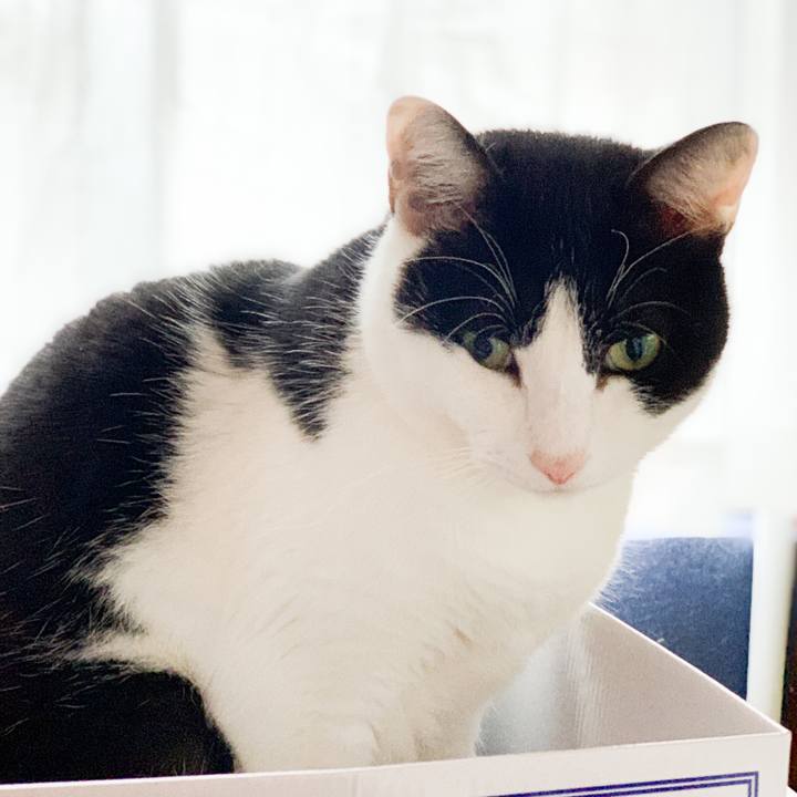 F0b3a888 5c21 45ef 99cb d3c669259642 1546135124335