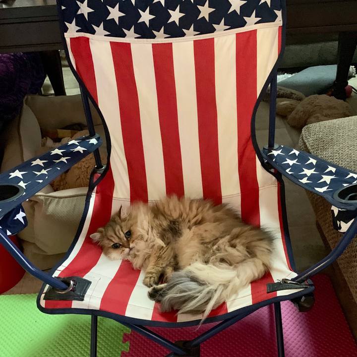 F0b3b5d0 5a9f 4757 ad1a e0591c1535c8 1558805062893