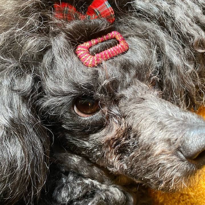 F0b3cabb d082 4da5 b676 62c4c42d0e69 1650680808551