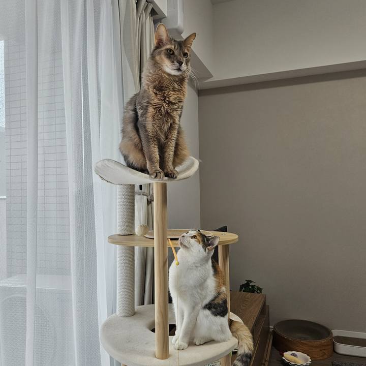 F0b3de8e e099 4eb9 8bb5 f8c5a58e88fa 1761010929328