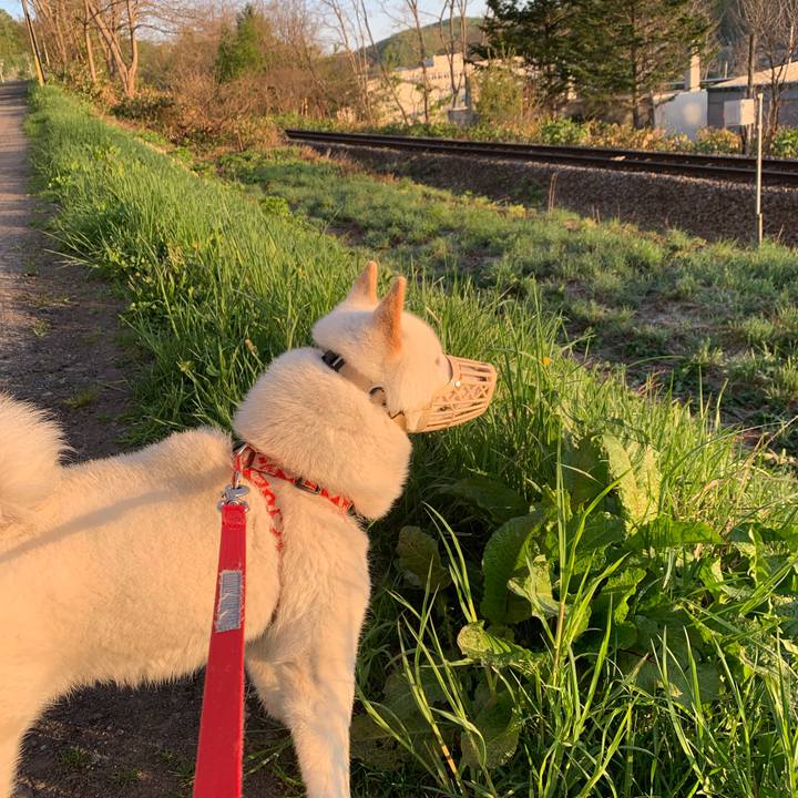 F0b3f004 60f8 49dd 869c 92a1d091e78b 1557733603622