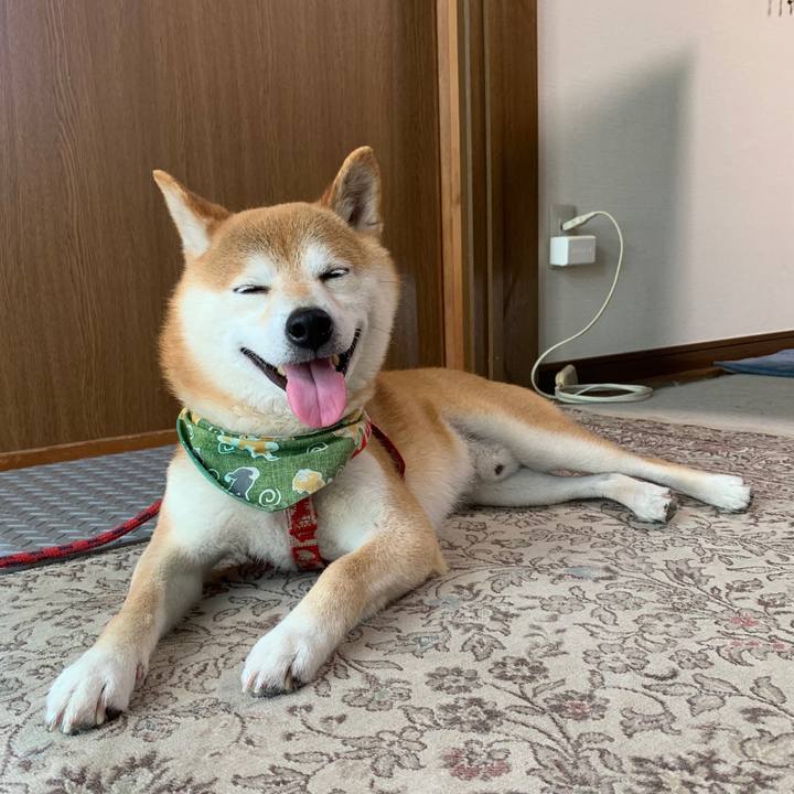 F0b4580e 50a9 41bf b21d a8ebdf20b911 1593081819804