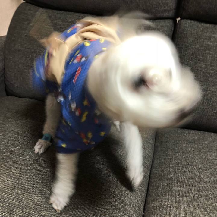 F0b460b2 25d0 4d8c adc8 28417221fe4f 1531785176150