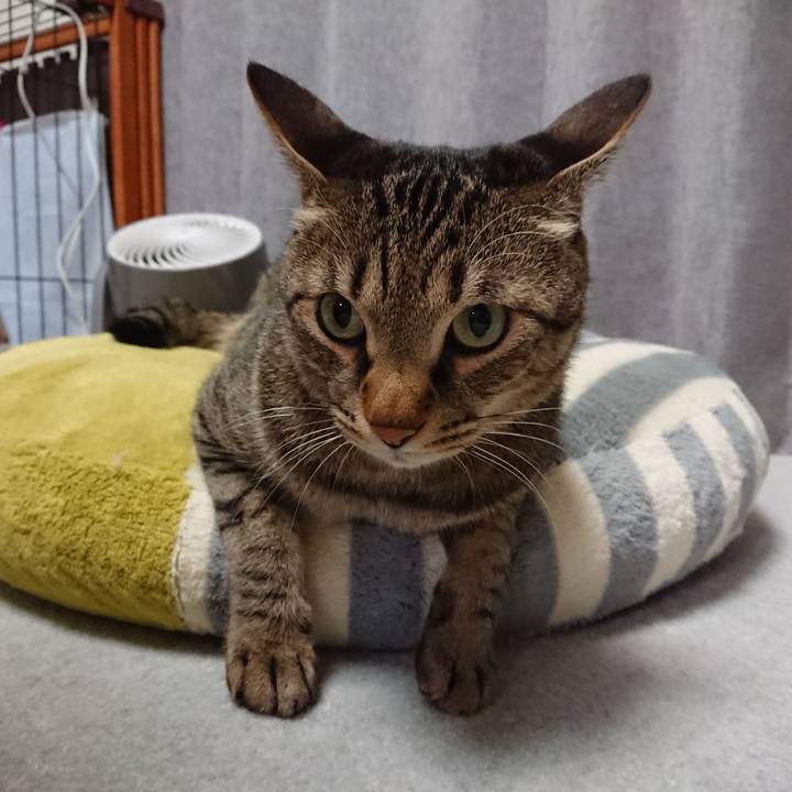 F0b486ec f311 46d4 9be7 63597dbdc7db 1578413278929