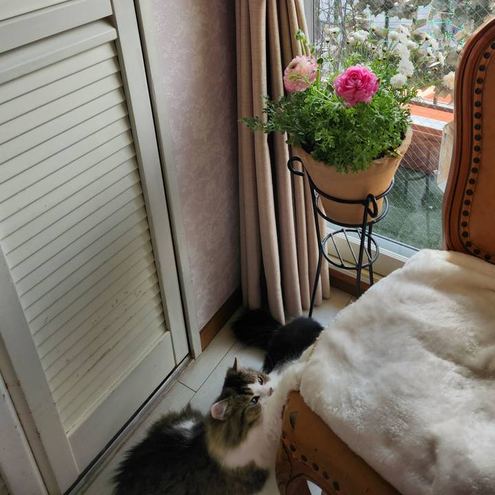 F0b49cfd 95ee 40cd b21b f4e51c85778a 1706092505640