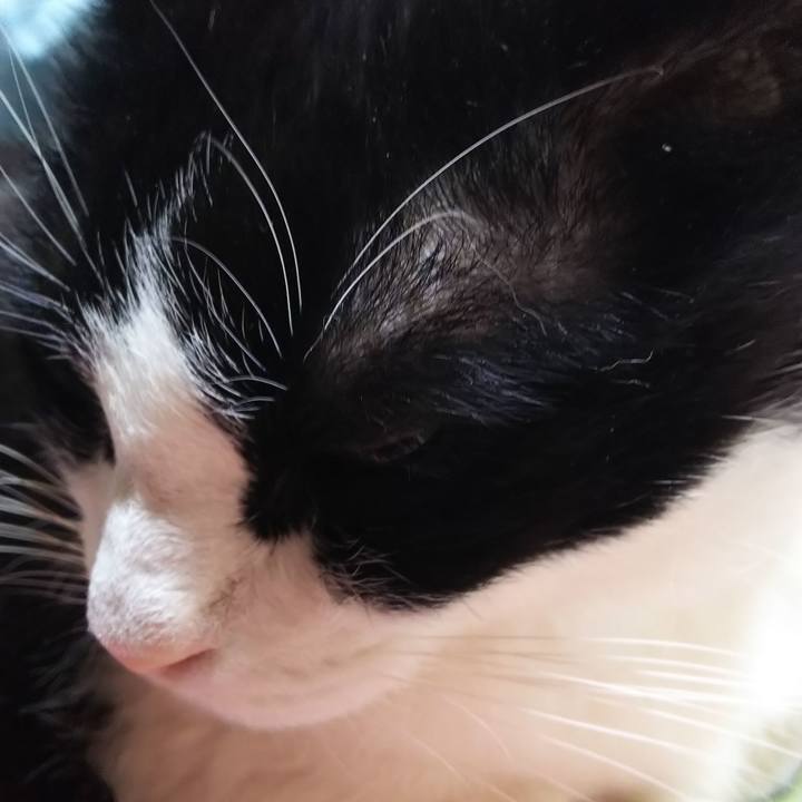 F0b4ac1c e3d6 4e57 be56 58f61c818870 1584750775590