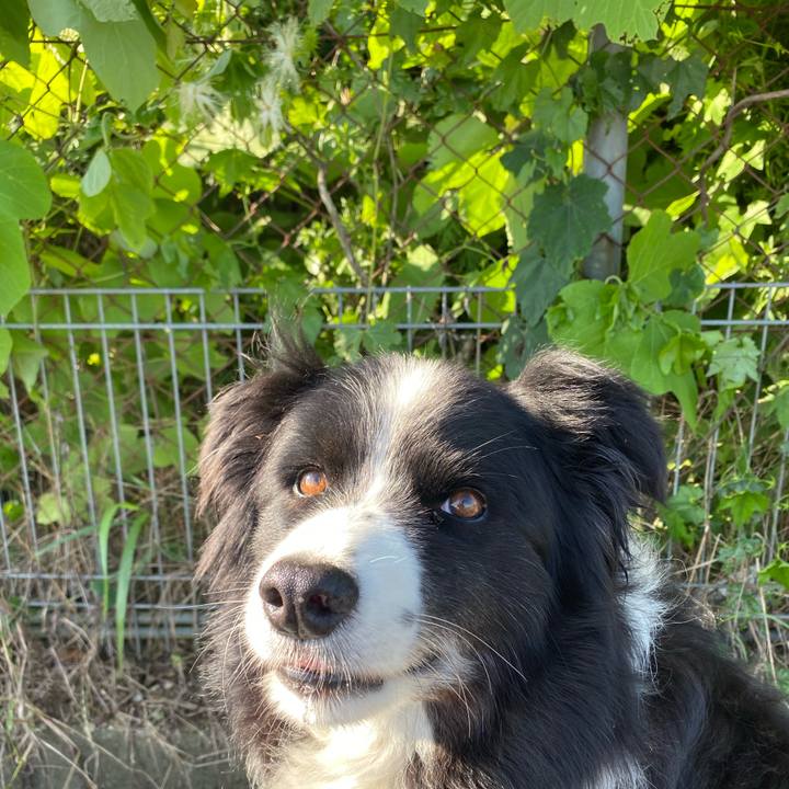 F0b4c7d6 5a9b 45db 8bbf 56a30b2328ed 1593646975571