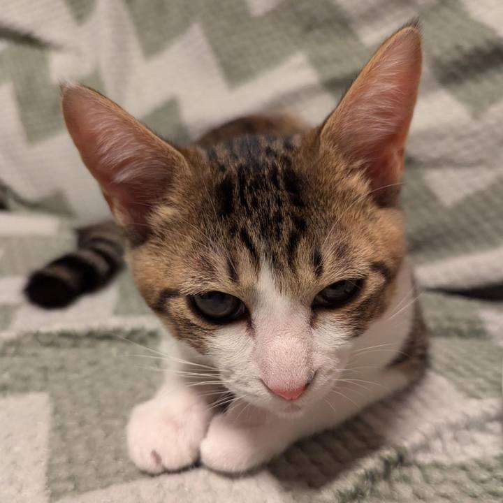 F0b50761 d7a4 44e4 be8c 4000f8f64ebe 1733390814995