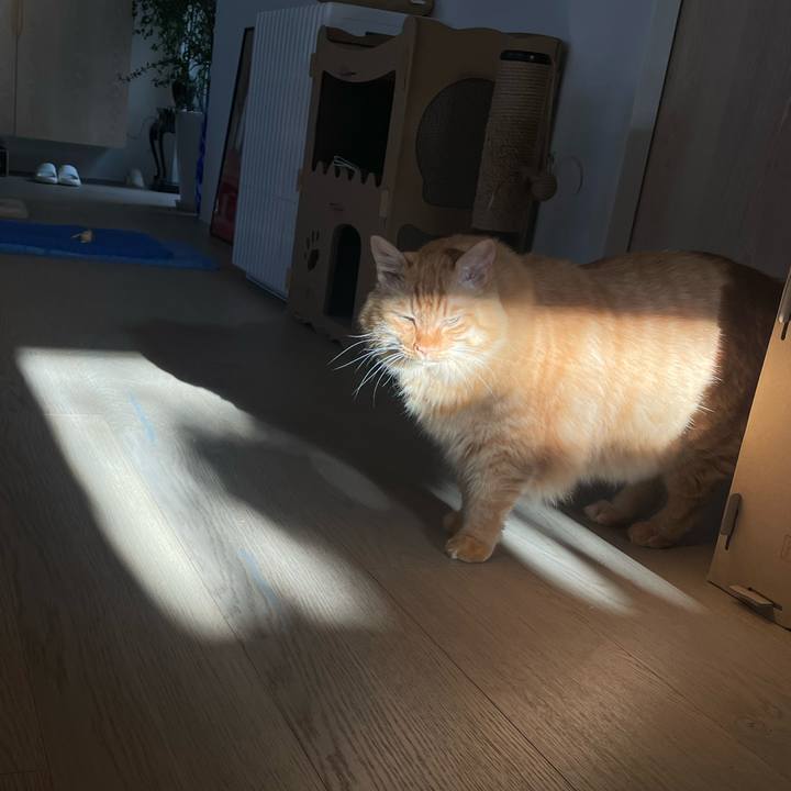 F0b53c1b c339 48ba 86f4 533b5828c43d 1760050123044