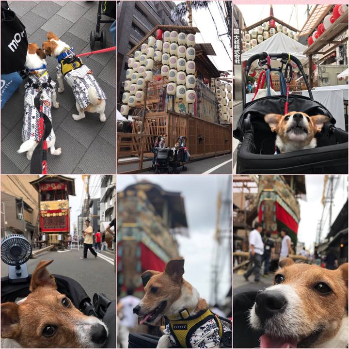 F0b5420d 4098 4628 b479 d5eaadeac390 1563018288838