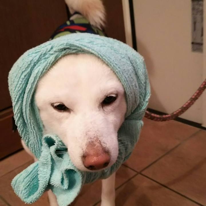 F0b54b4b dedb 48b2 a34b bfb0fc695b3a 1524562091990