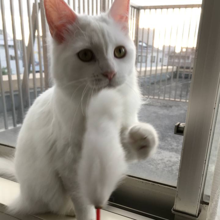 F0b55e97 0248 40a1 8f7c 55ff1324aed3 1525429786220