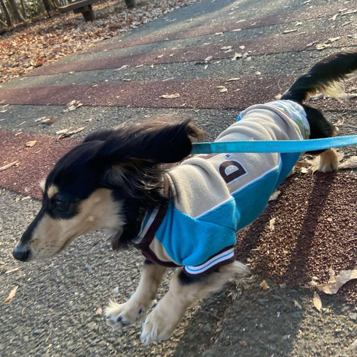 F0b56865 6515 46c2 a207 cd9c42df17d5 1705667386885