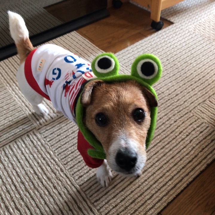 F0b58055 e54c 4bb0 9c81 ace6e30f35b2 1561511180573