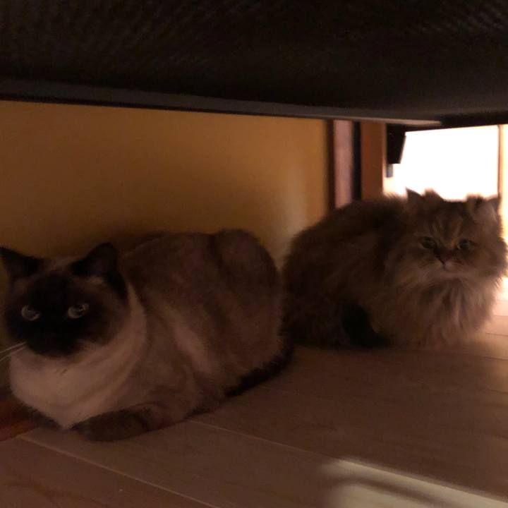 F0b59345 0e9a 4f4b 9e5c 69e04827192f 1614928439794