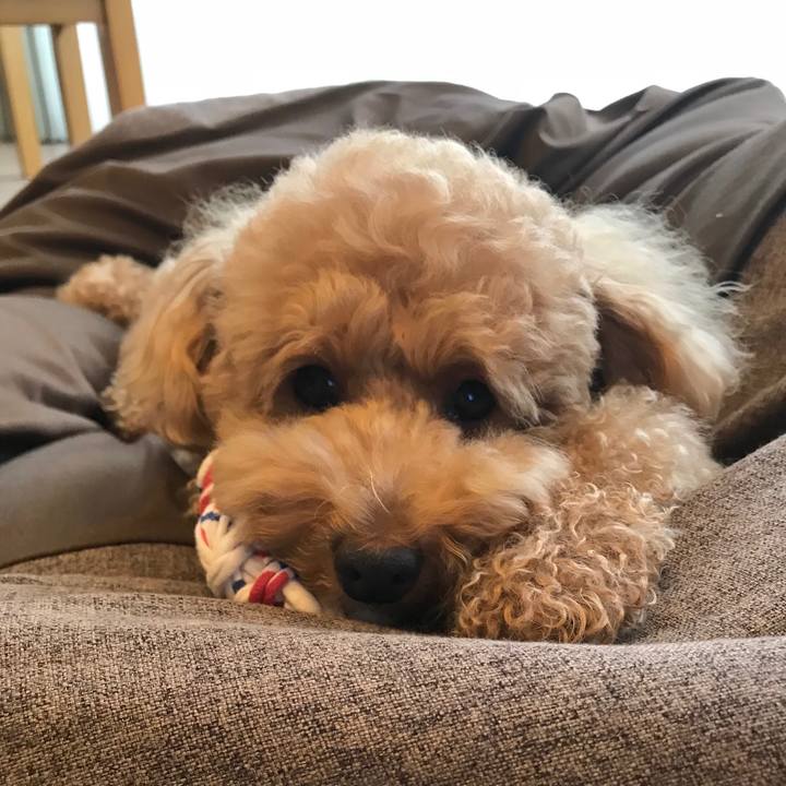 F0b5b8c6 bc62 4efc b0f4 42b98edcb1c1 1529311598074