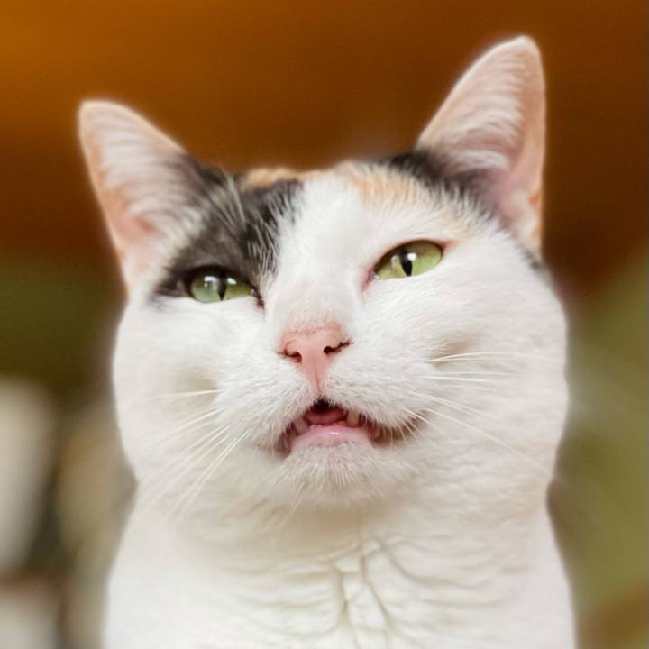 F0b5cdcd bf75 45e6 bd93 9305b638613c 1623115808666