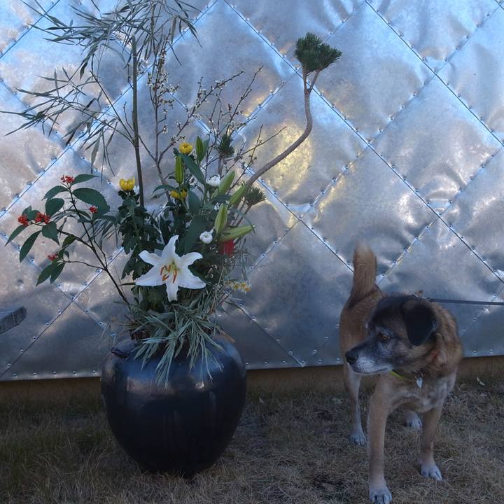 F0b5daf2 5a6e 45b6 bc03 1fcd5352990d 1583986426269