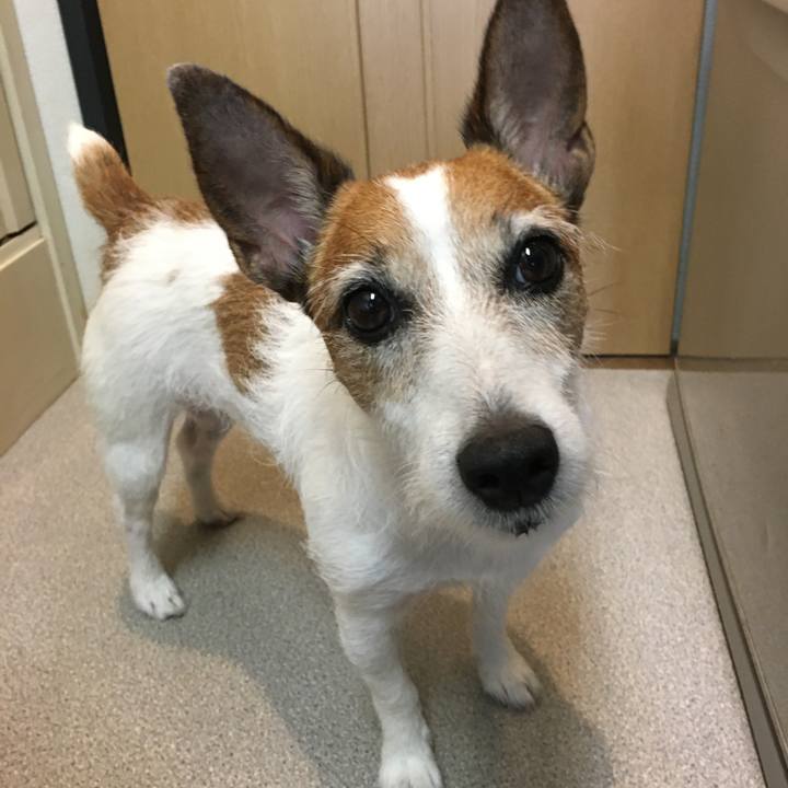 F0b5dfa1 9e49 4a20 bca9 16e03e57e6bc 1601335771312