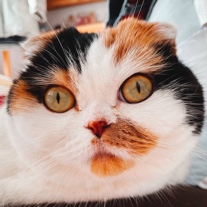 F0b5f1c7 50c0 426e a36e 4060a2136fe9 1644452829028