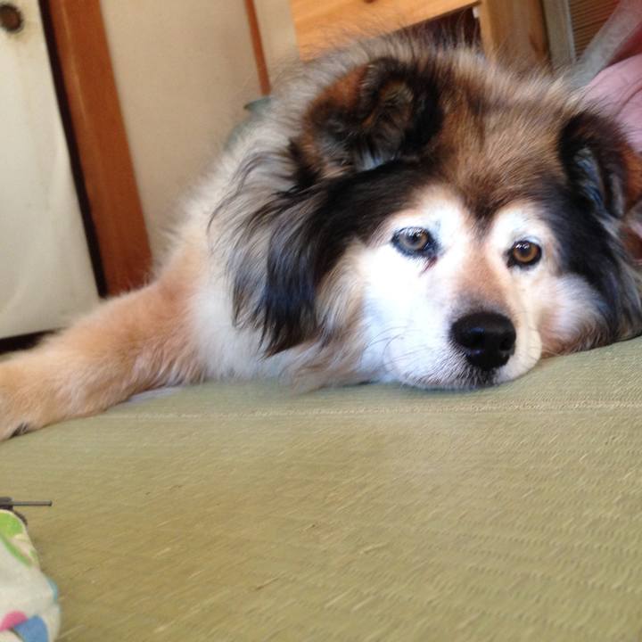 F0b610b6 3a81 4777 baa7 5a5bb2896f04 1565529895291