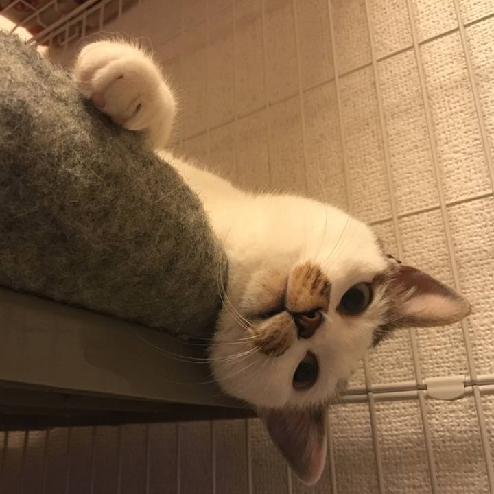 F0b62482 0d40 4eac 8ede 3864f613a963 1519124888348