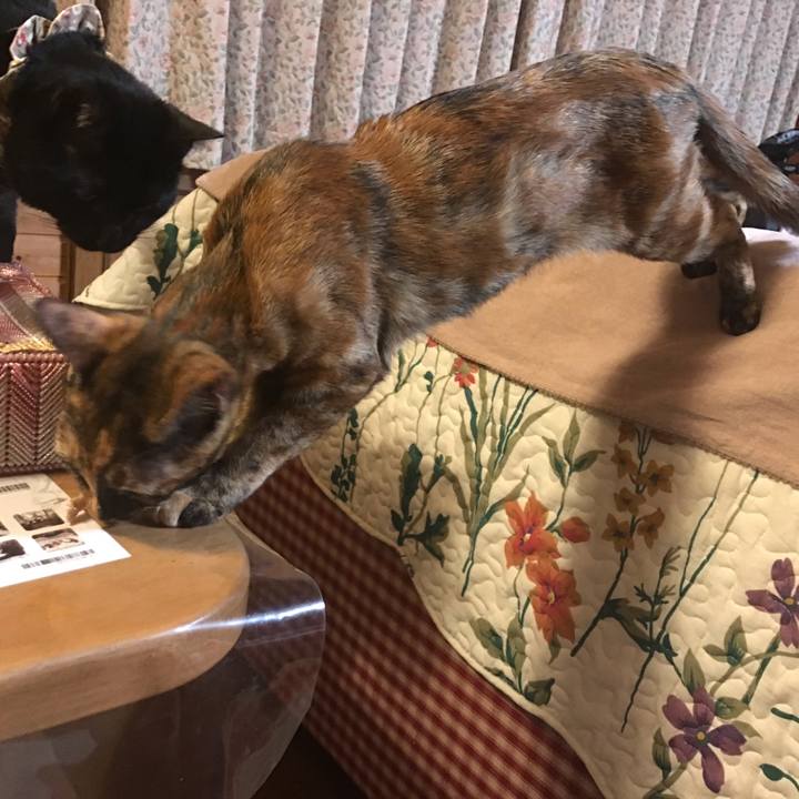 F0b669b2 d1a4 4625 948e fc6f08bc36b9 1610976455122