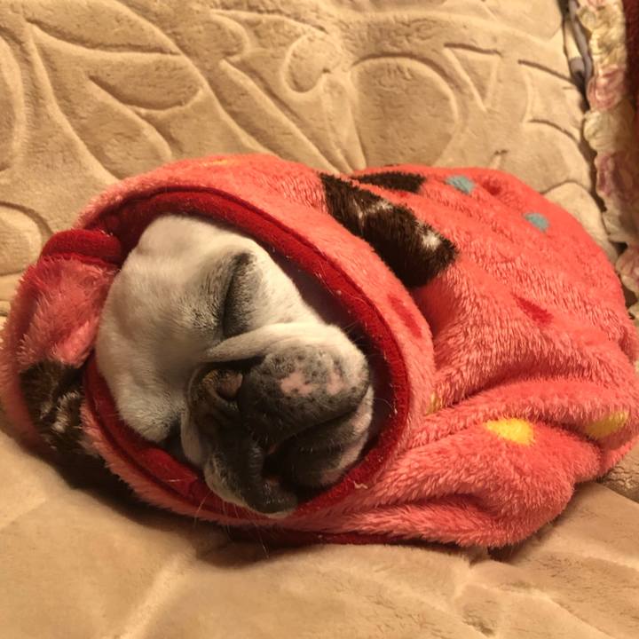 F0b67f5e 29bb 4d03 91ab ab15ad231893 1674217515925