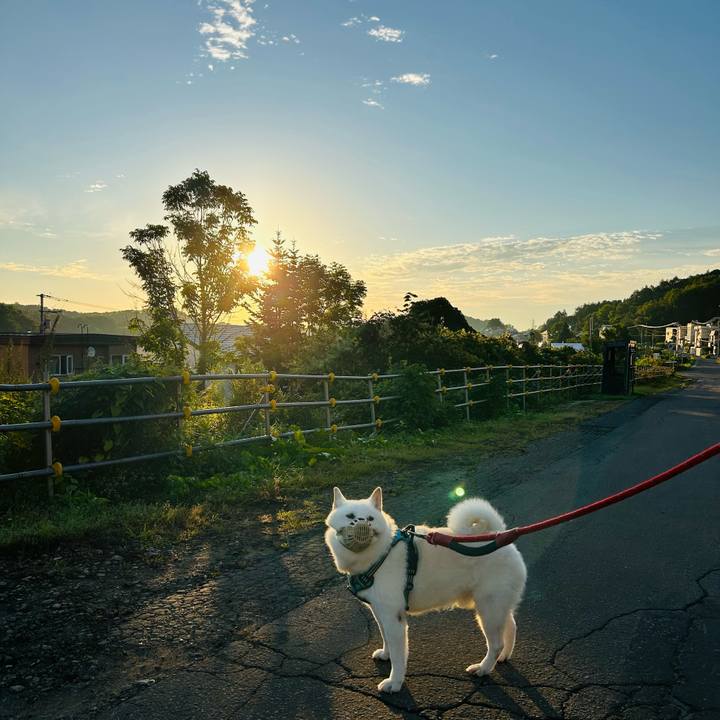 F0b686f6 2a7d 4147 8dd5 7b4dfca224d1 1757019529108