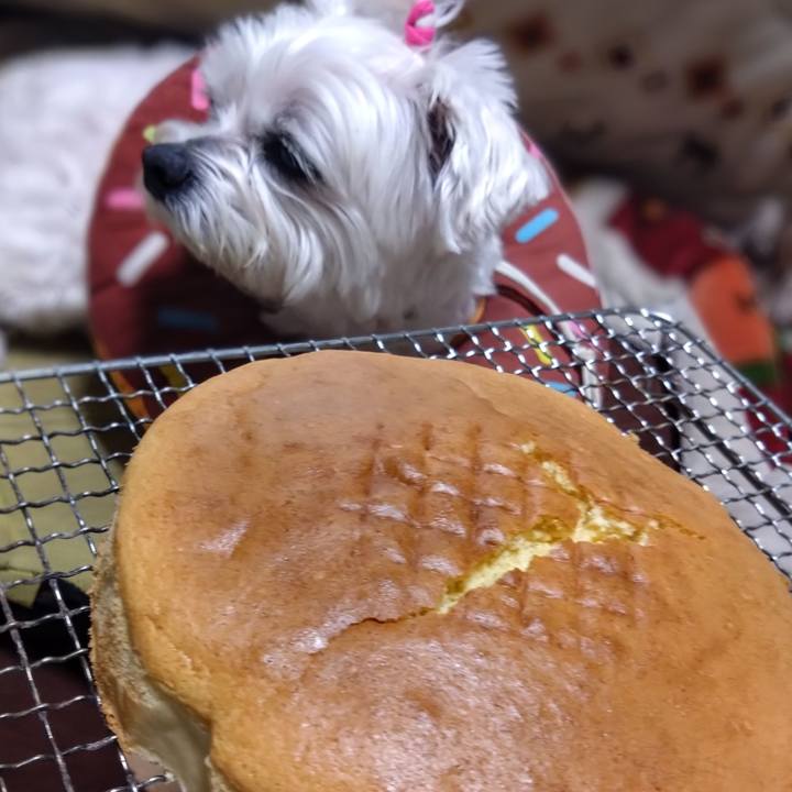 F0b6c04a be9e 47c8 b9fc b3ddb4dafd98 1742716539787