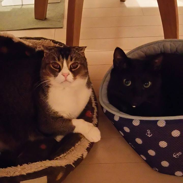 F0b6c57d cfe7 4f85 b717 b0b2d18ffd19 1551620845812