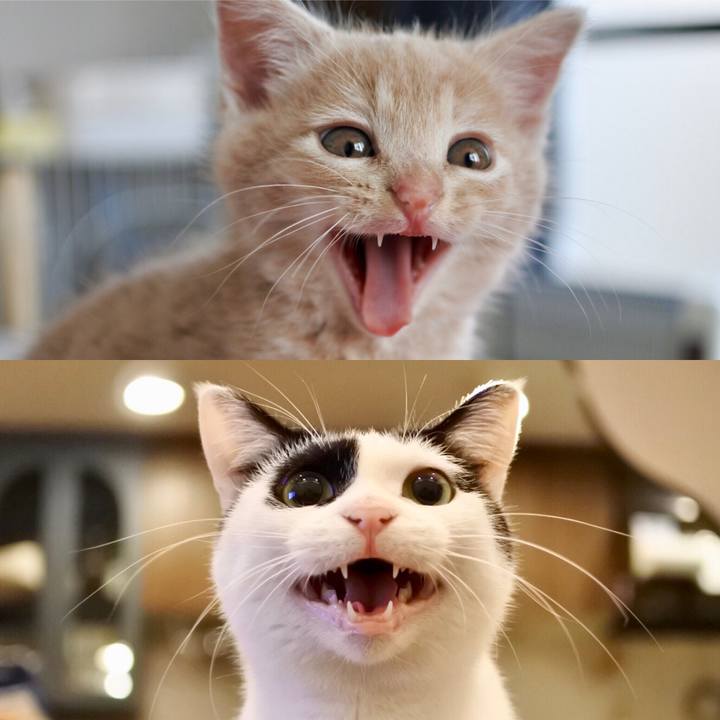 F0b6d5be 6dd2 4851 adef 98d4b185f159 1541655041106