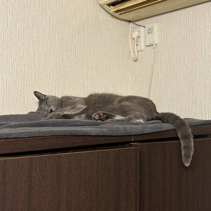 F0b6e2c8 3305 4aa5 a397 2220cc6582a1 1710079189036